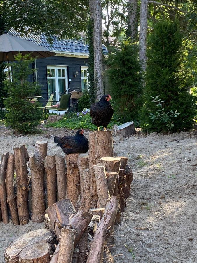 Schuringse Klasse Numansdorp Luaran gambar